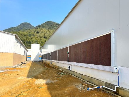 Cooling pad installation for poultry house 